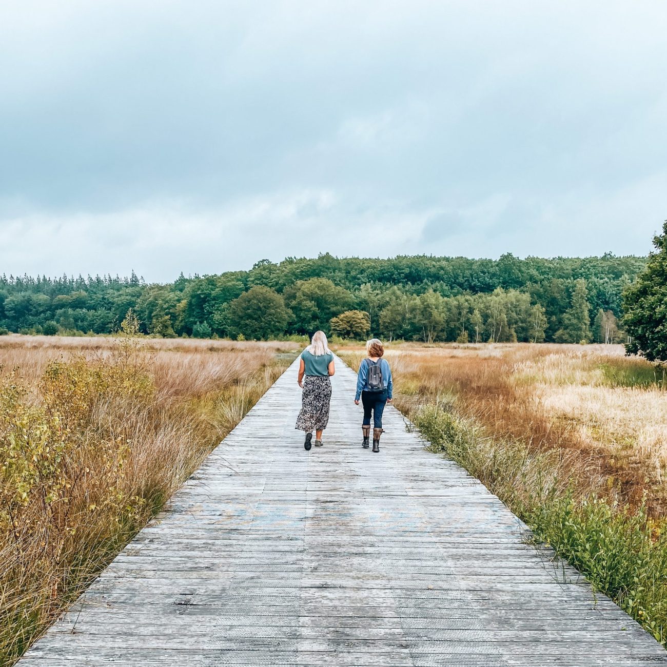 De retraite ganger en coach samen in de natuur tijdens de natuur coaching