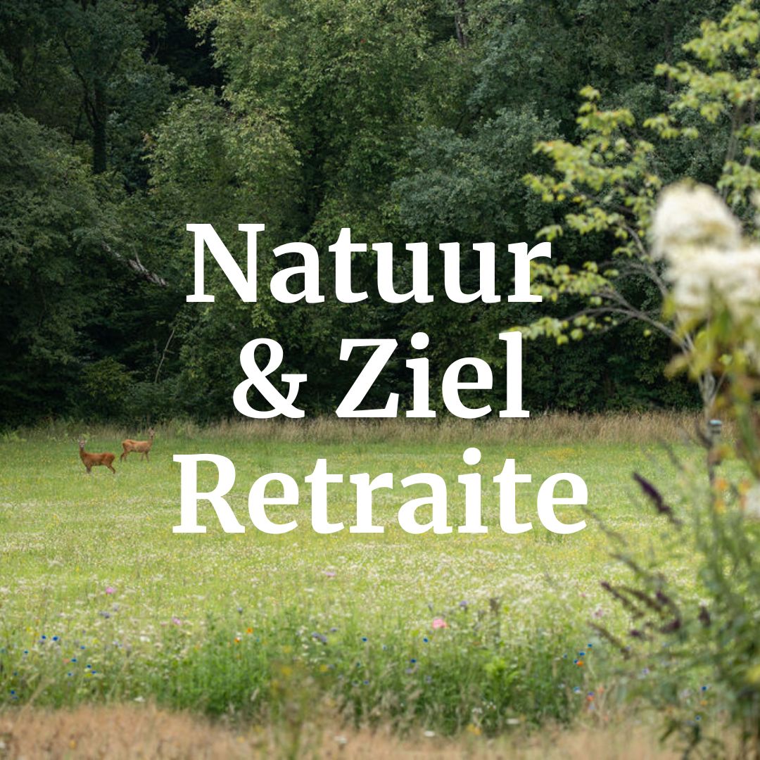 Energetische Retraite Natuur, Creaties & Ziel2