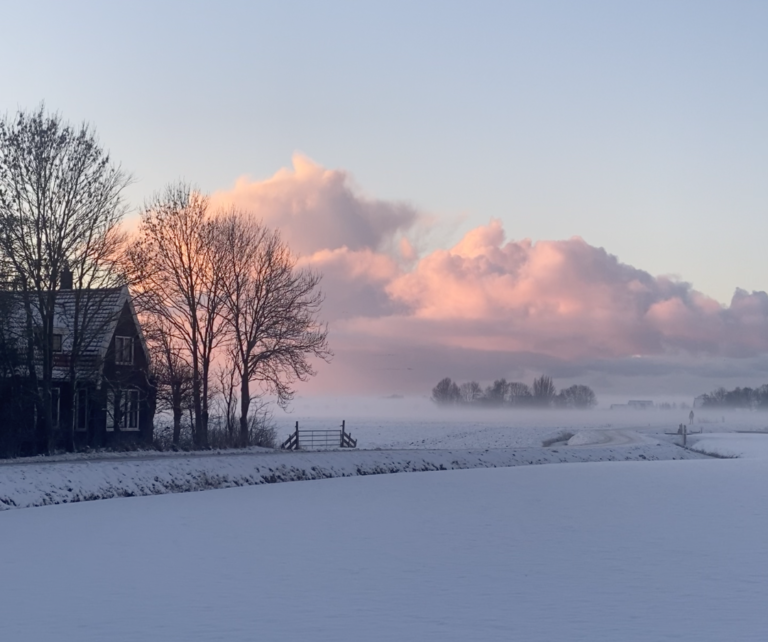 Een prachtig winterlandschap, in alle rust. Een weiland met sneeuw en hollands retraite huisje met bomen.