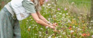 Blog energetische natuur en ziel retraite spotlight
