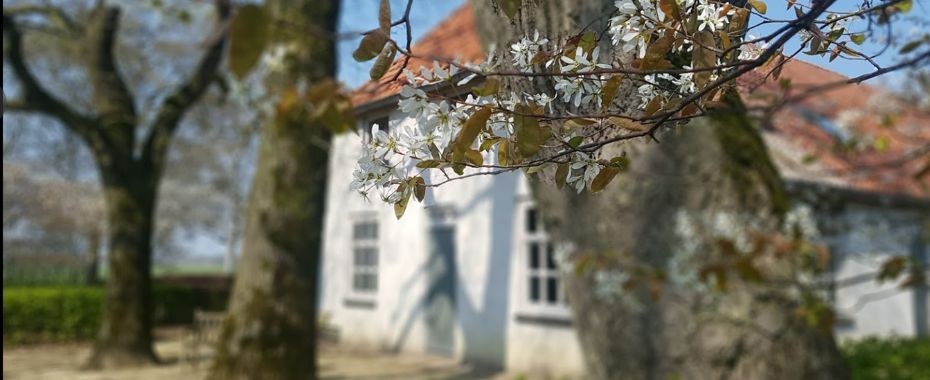 Blog natuur retraite spotlight