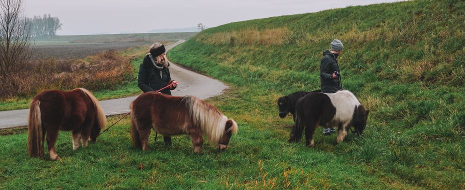 Blog rust ruimte en natuur retraite spotlight