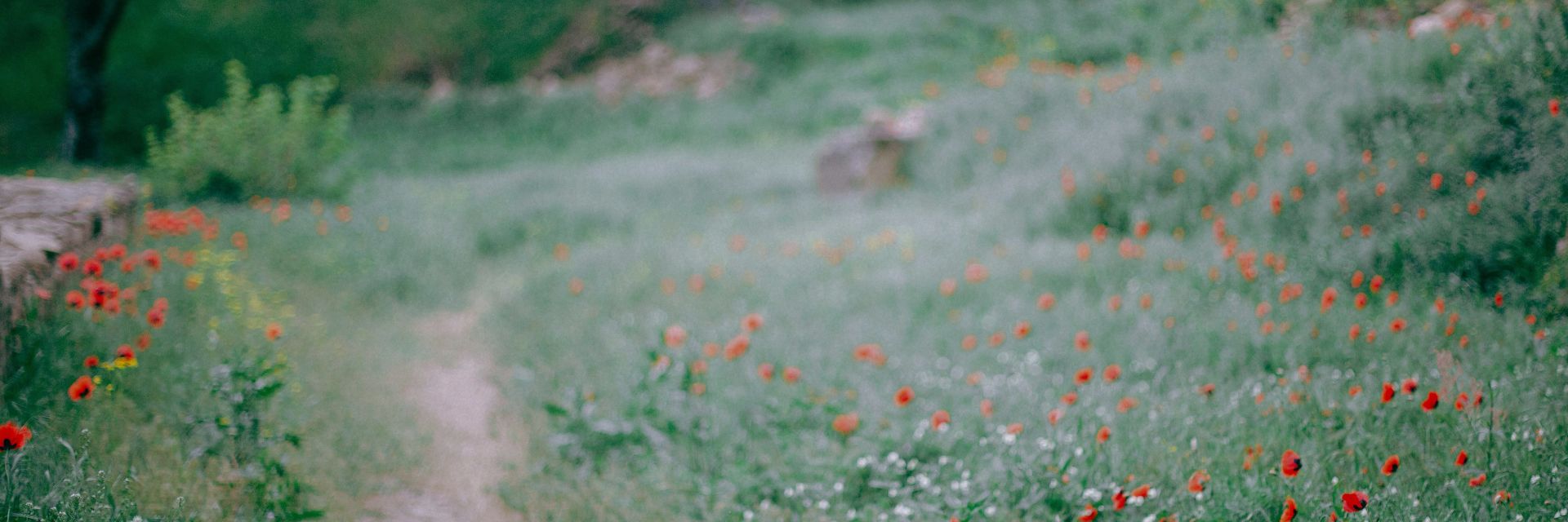 Blog Overzicht Retraites Nederland in September header