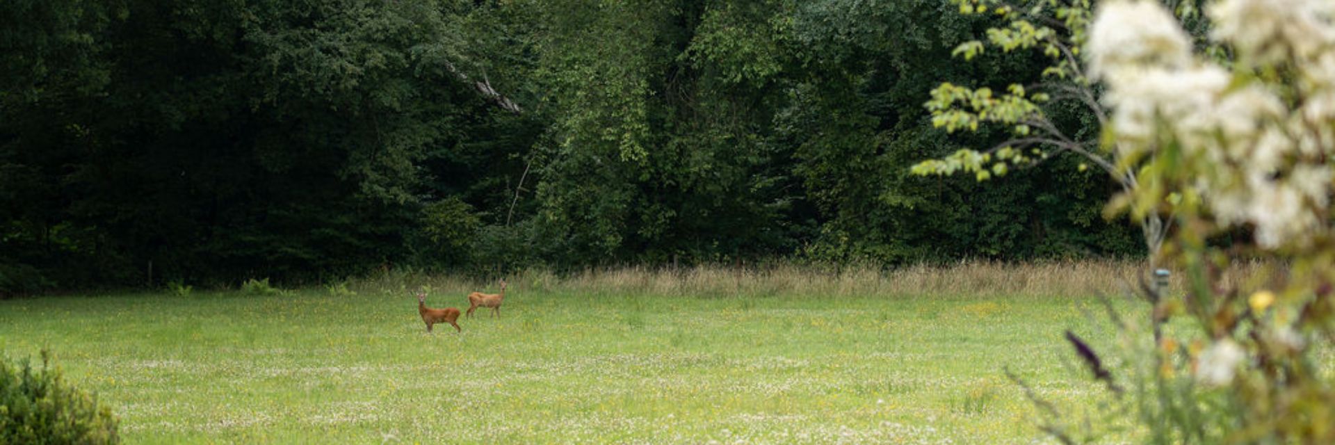 Blog Wat is een solo retraite header