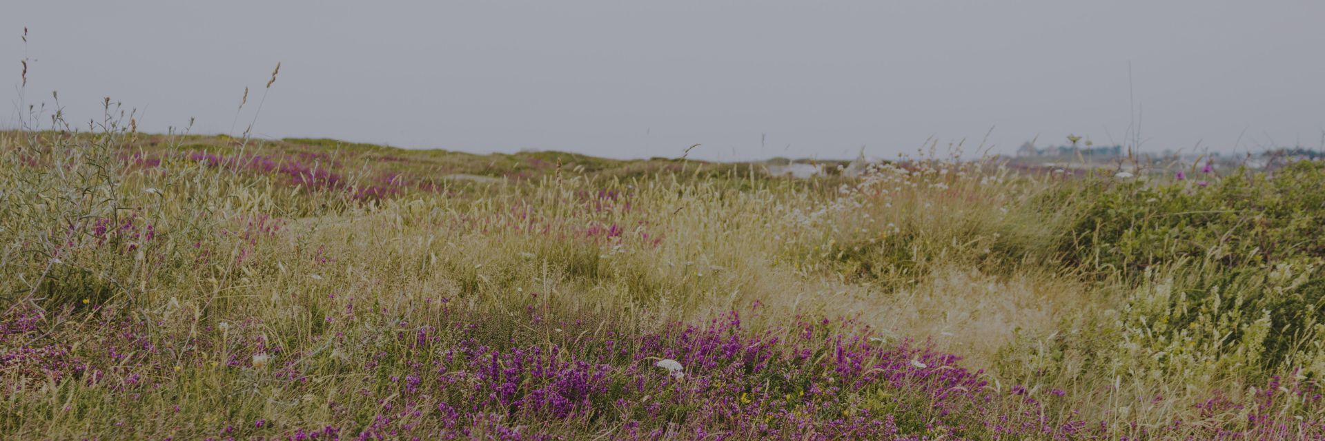 Blog beste Ontspanning Retraites van Nederland header