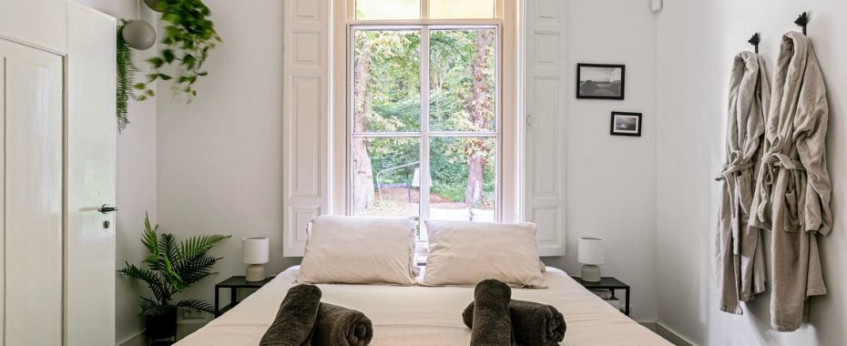 Blog bossuite met yoga spotlight