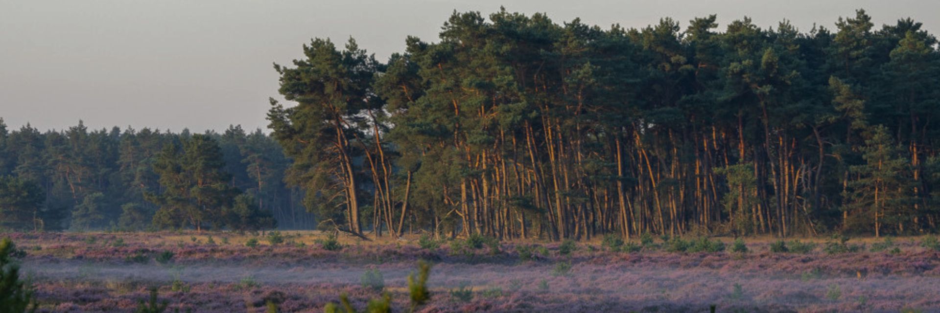 Blog de Mooiste Natuur Retraites van Nederland header