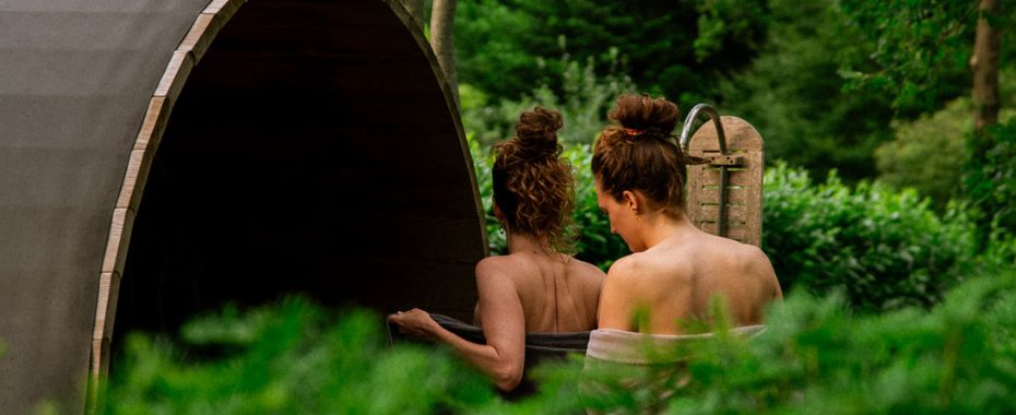 Blog down to earth spotlight sauna