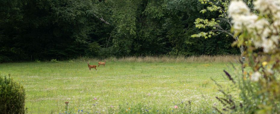Blog natuur en ziel retraite spotlight 2