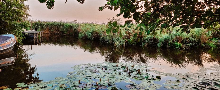 Blog retraite aan het water spotlight