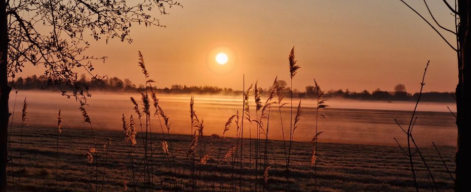 Blog vuurstof retraite spotlight(1)