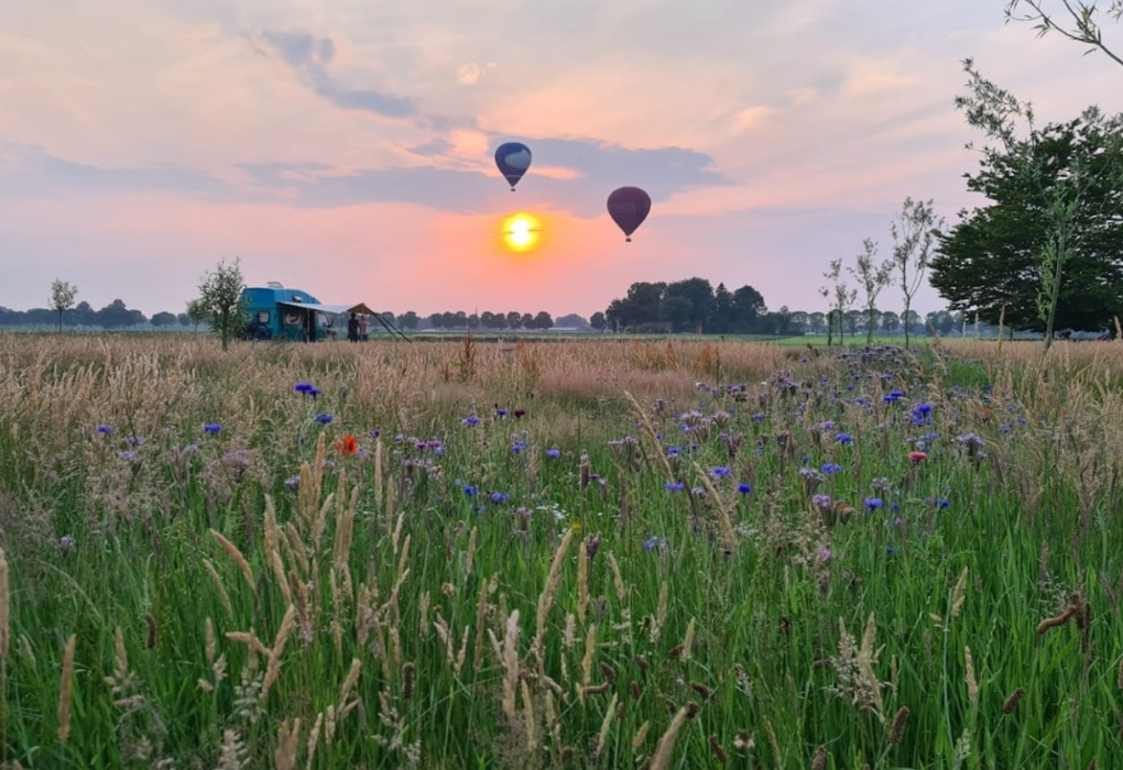 Natuur Retraite camping