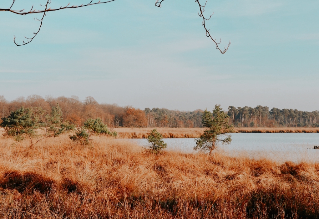 Natuur Retraite natuur3