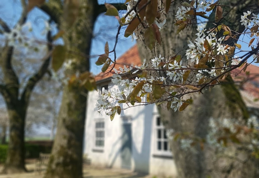 Natuur Retraite sfeer