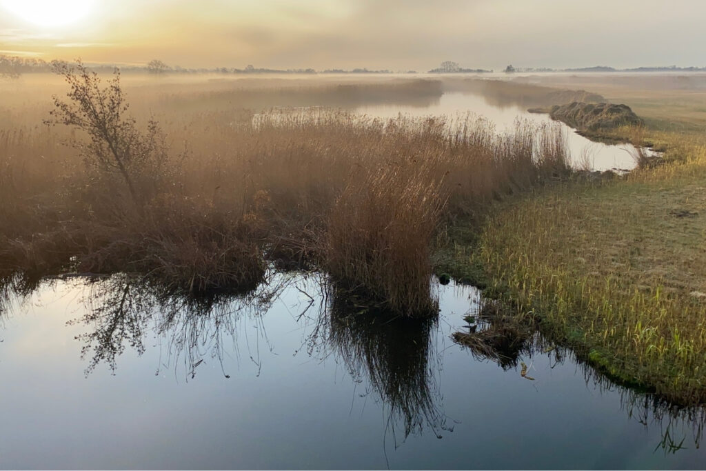 Retraite aan het Water ochtend