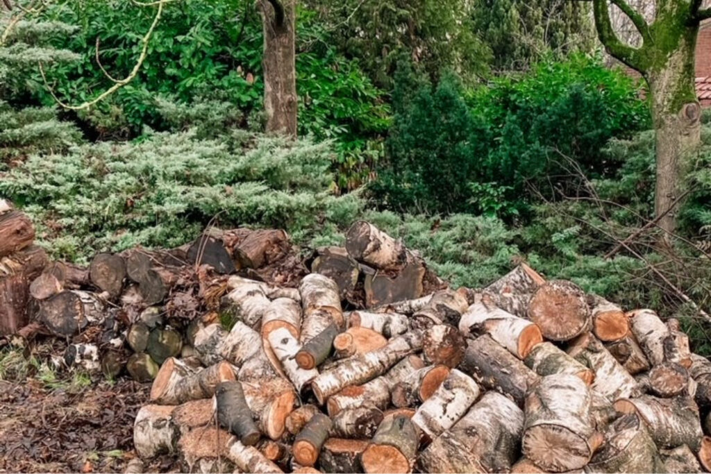 Retraite in een Natuurhuisje hout