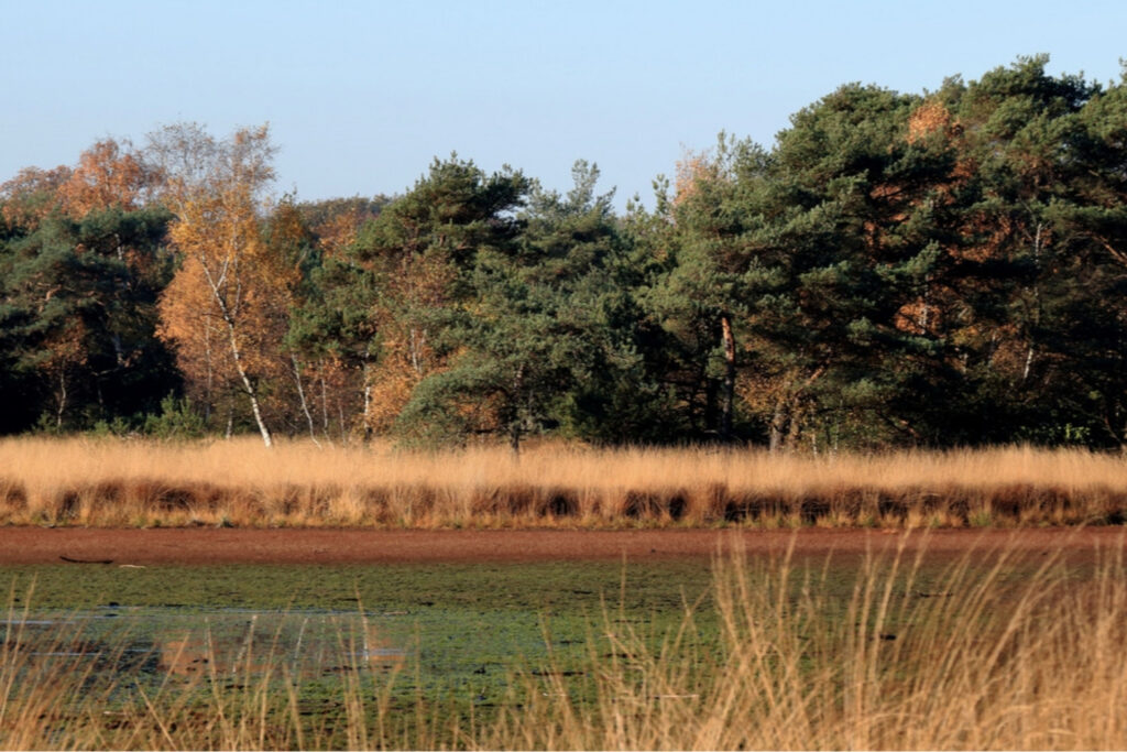 Retraite in een Natuurhuisje vennen2