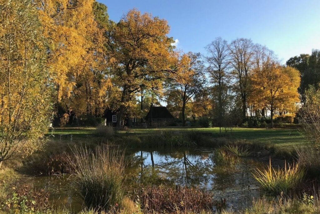 Retraite in een Natuurhuisje vijver