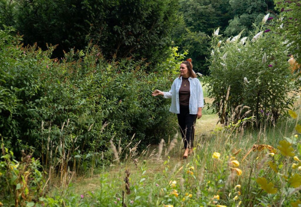 natuur creaties ziel retraite coulliselandschap