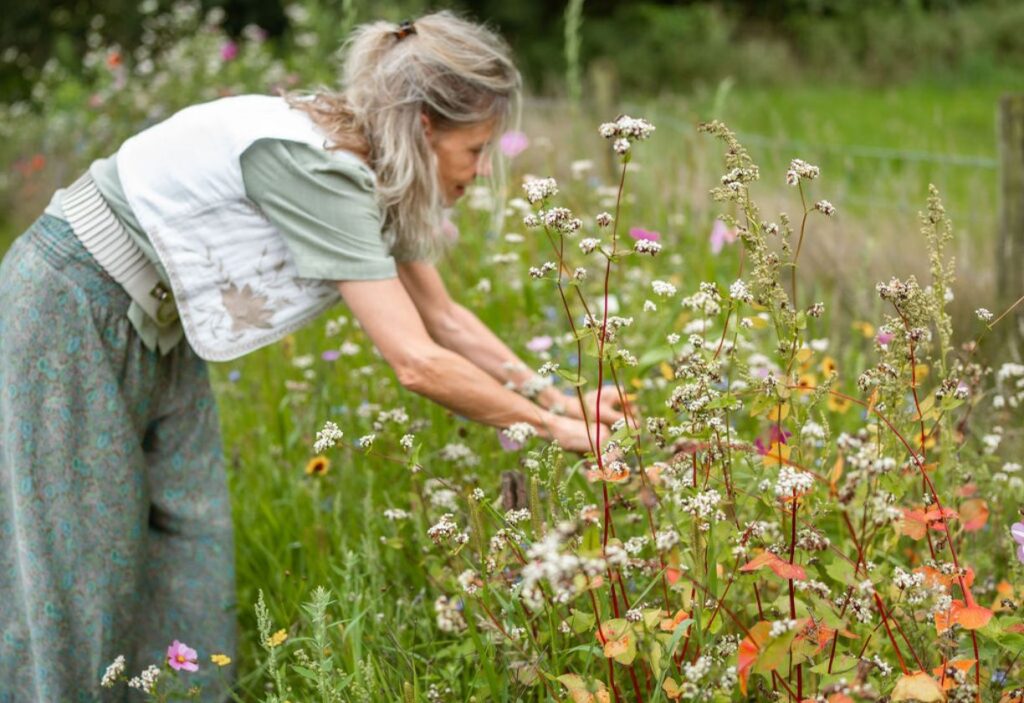 natuur creaties ziel retraite plukken