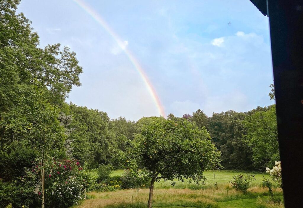 natuur creaties ziel retraite uitzicht