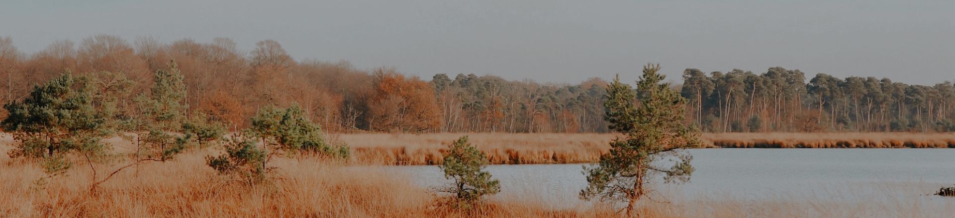 natuur retraites banner1