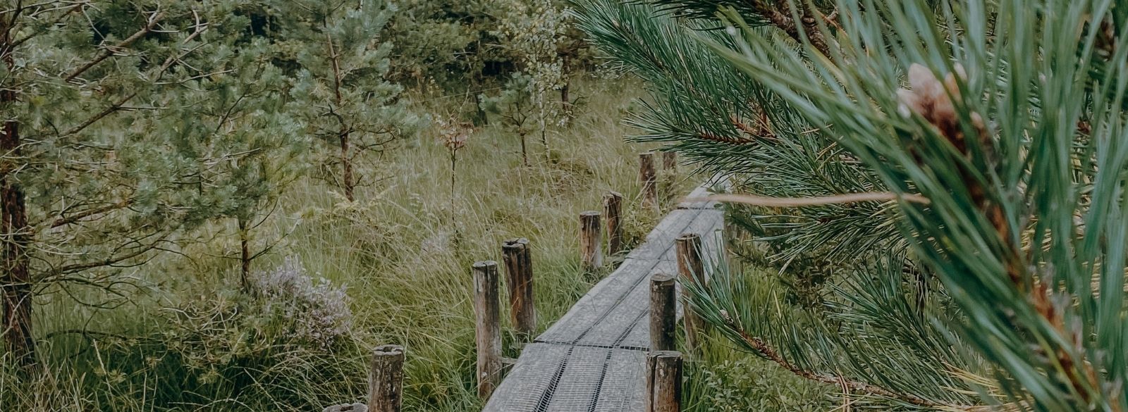 Retraite via werkgever header