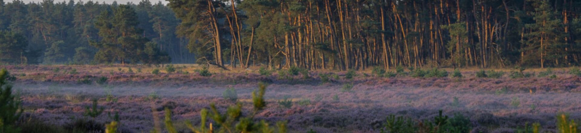 bestemming noord brabant retraite banner1
