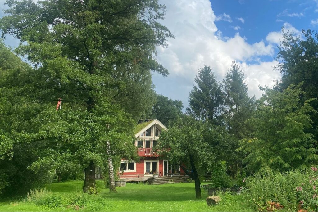 bos retraite tussen bomen
