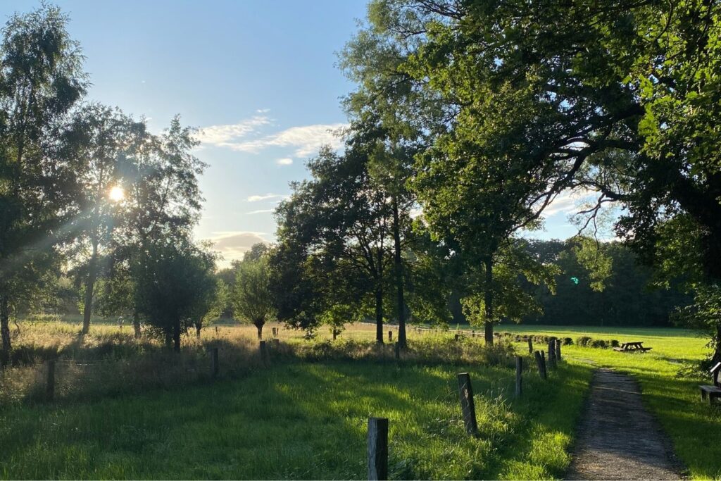 bos retraite wandel bos