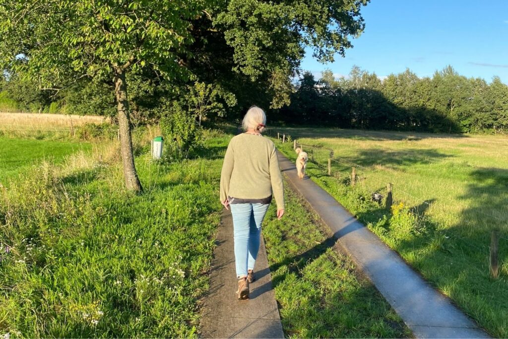 bos retraite wandeling