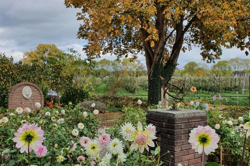 feelings & well being retraite bloementuin