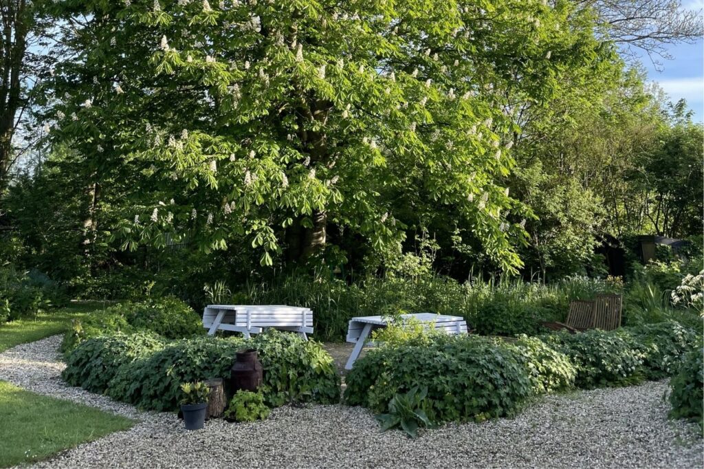 pauze in de polder retraite boom