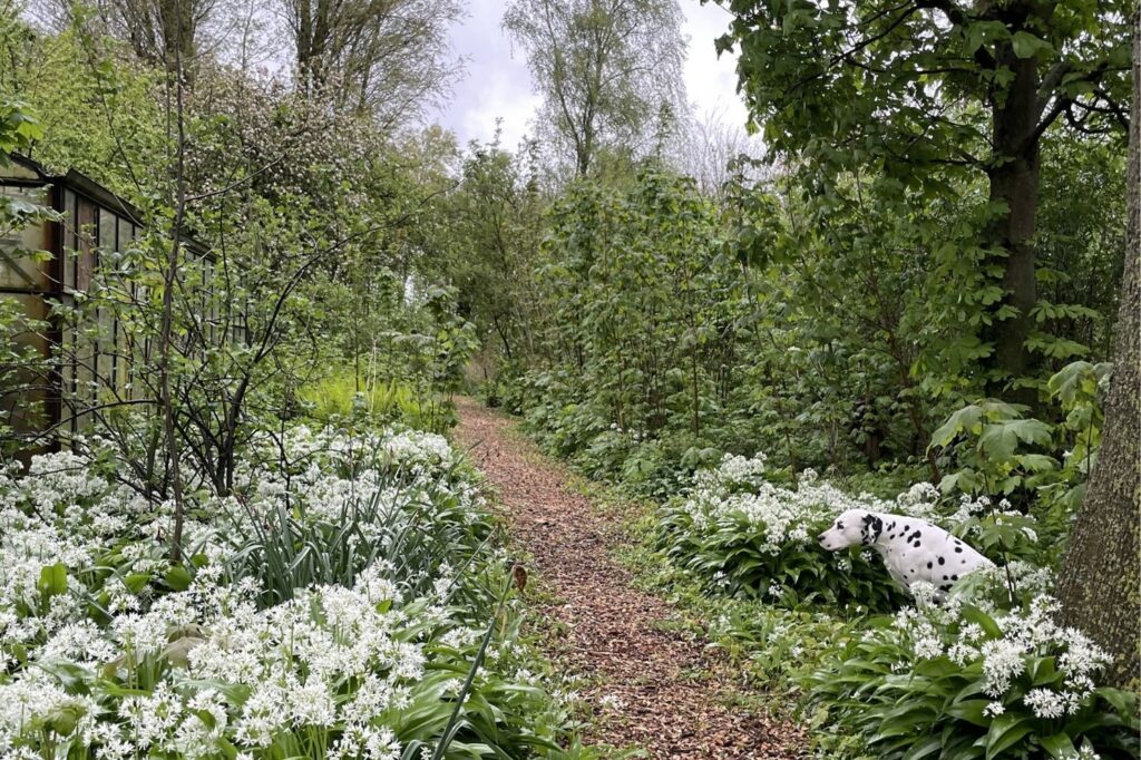 pauze in de polder retraite tuinpad
