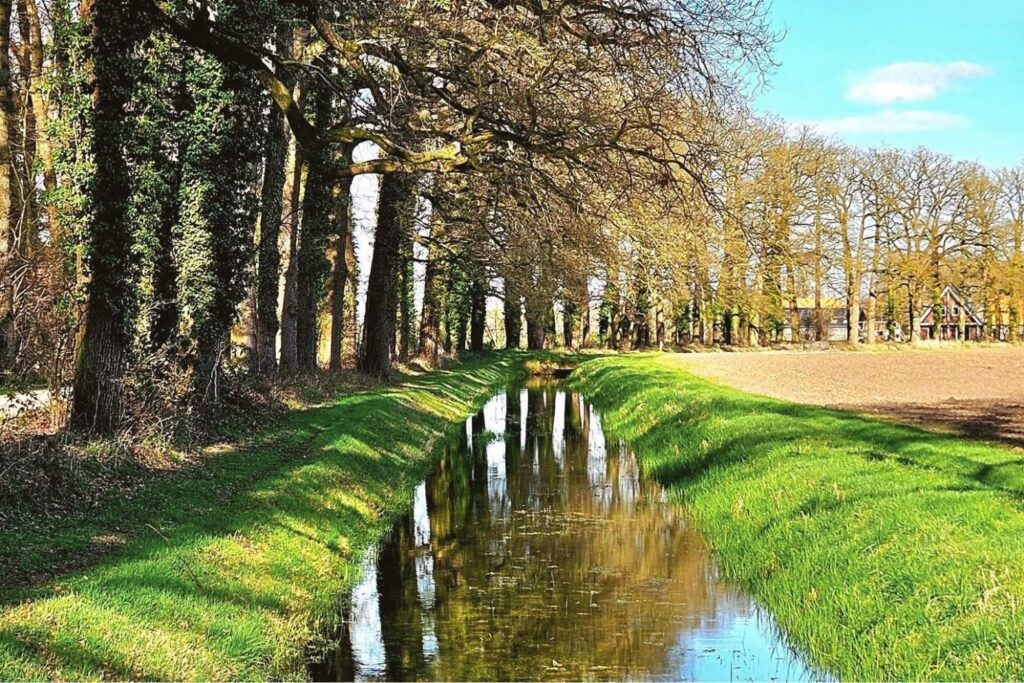 rust in je lijf retraite bomen