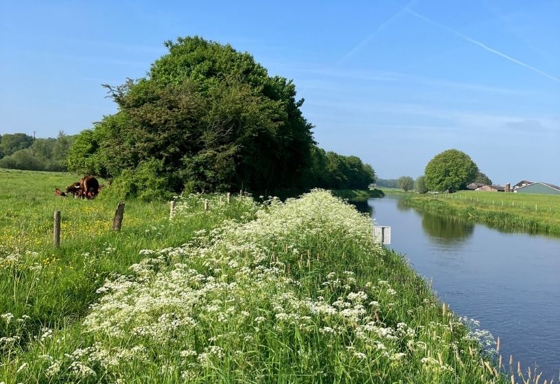 thuiskomen bij jezelf retraite omgeving