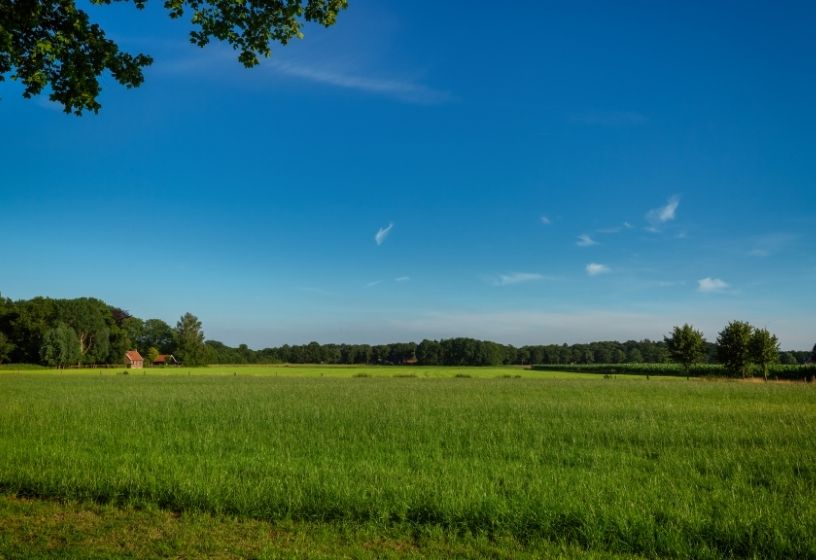 thuiskomen bij jezelf retraite weiland