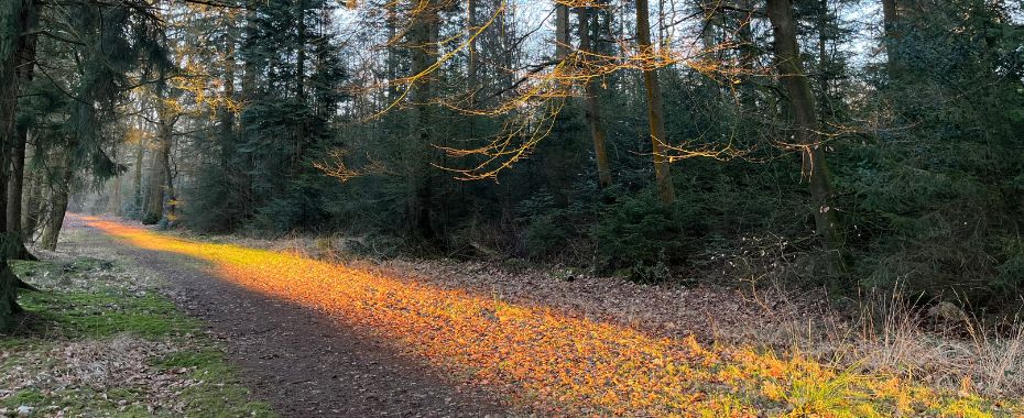 Blog terug naar jezelf spotlight 930x380