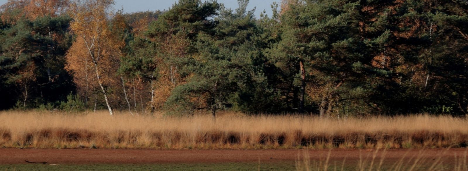 Blog De 9 Mooiste Weekend Retraites van Nederland header 1920x640 (10)